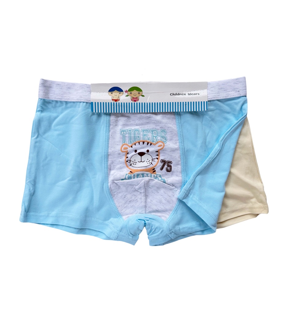 A Pair of Boy's Boxers