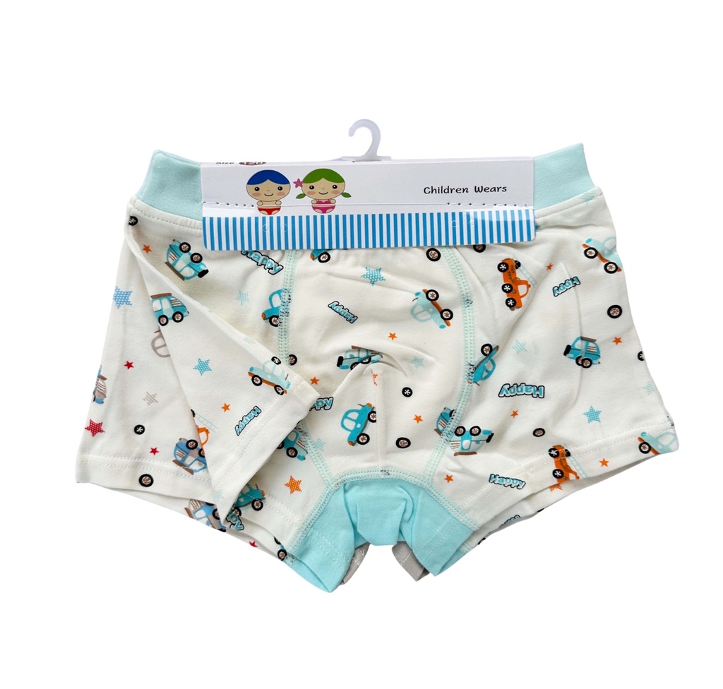 Assorted Boy's Boxers