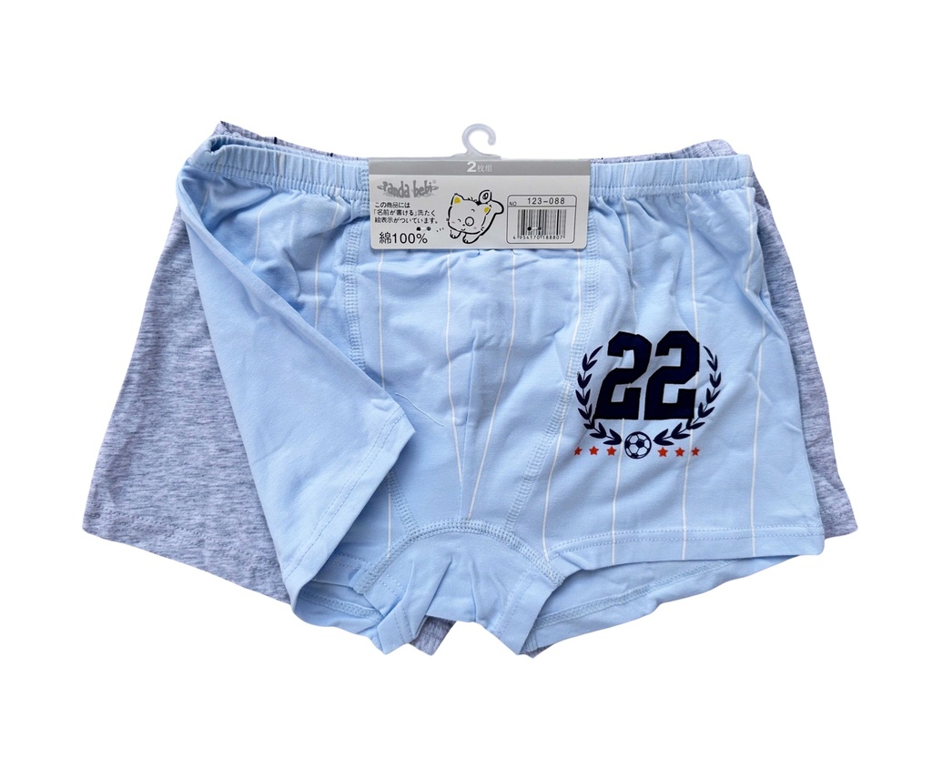 A Pair of Boy's Boxers