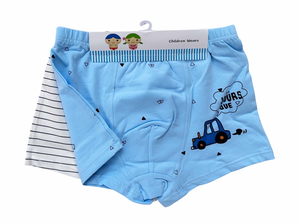  A Pair of Boy's Boxers