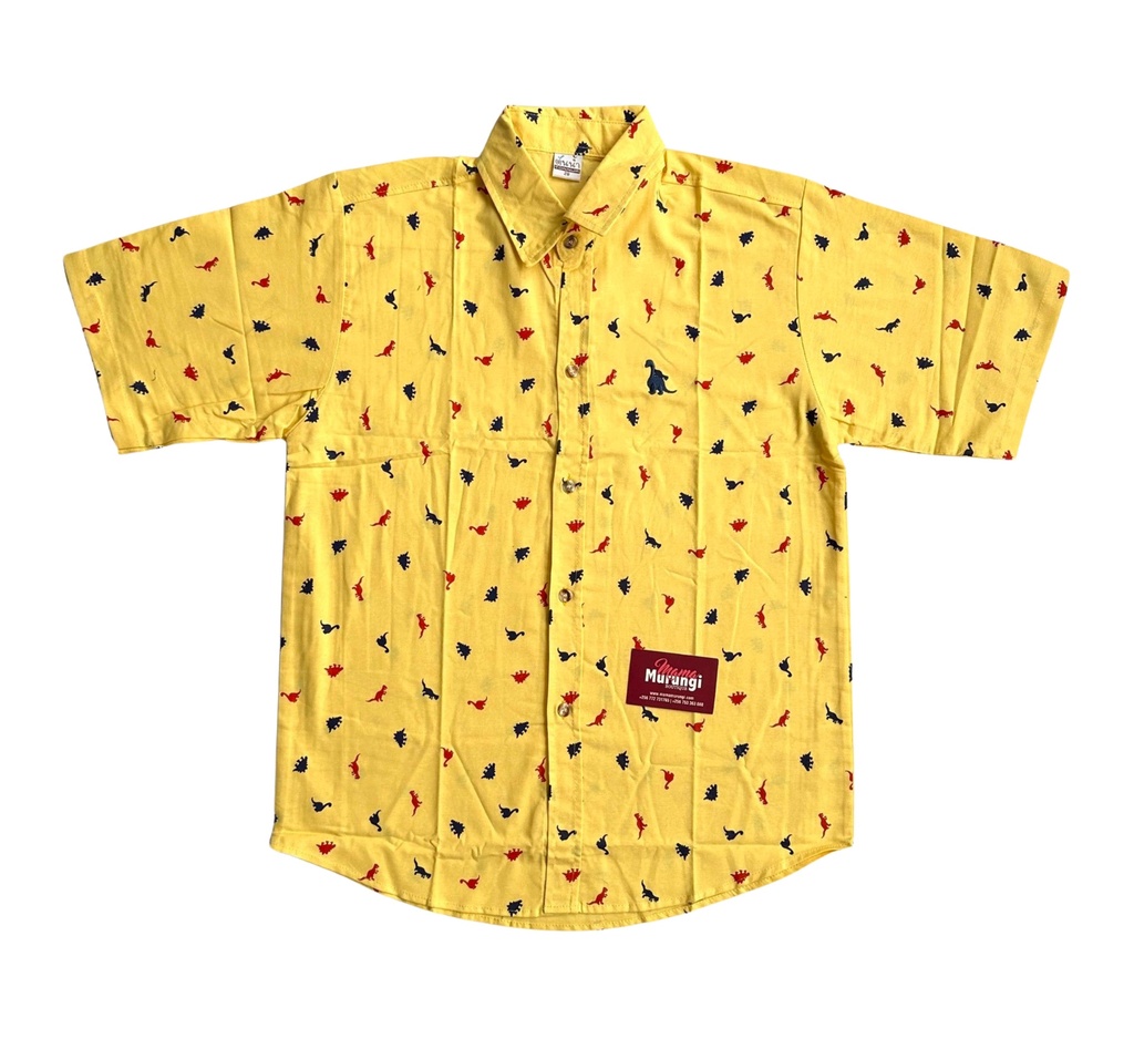 Boy's Shirt