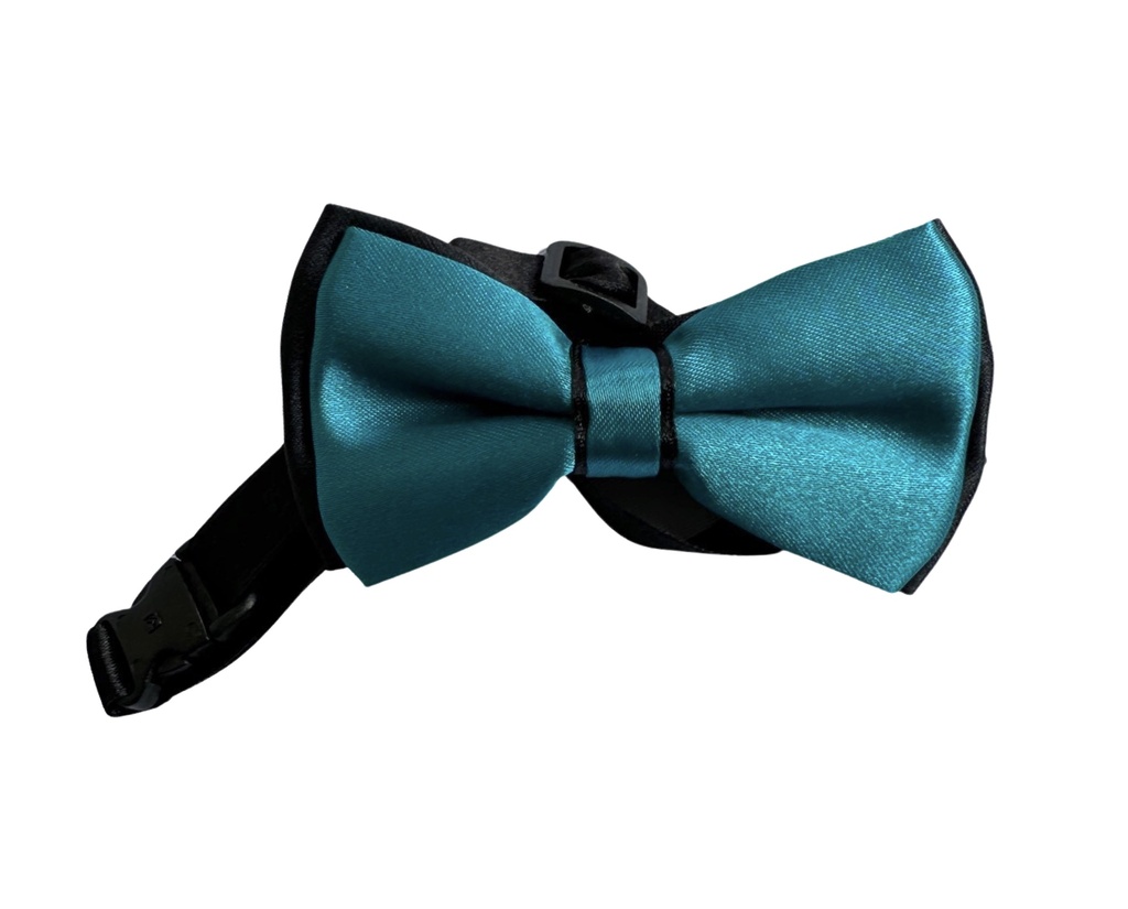 Bow Tie