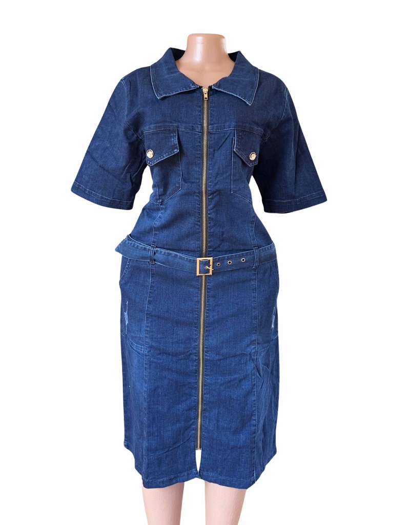 Women's Jean Dress