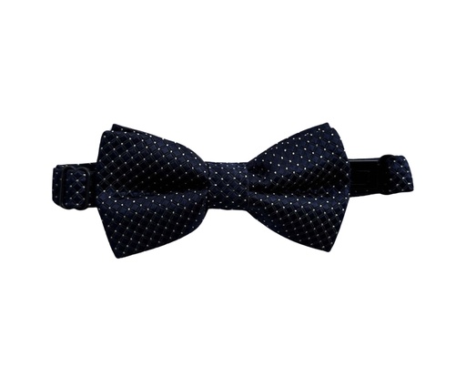 [02/24/B/4309] Bow Tie