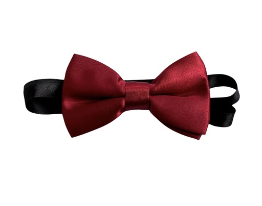 [02/24/B/4310] Bow Tie