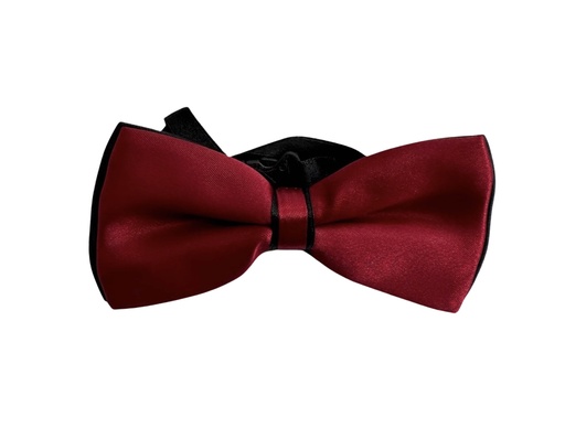 [02/24/B/4321] Bow Tie