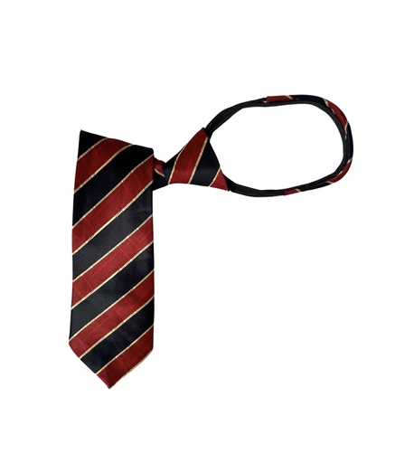 [02/24/B/4336] Children's Zipper Tie